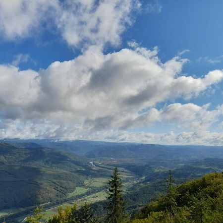 Tisina Tare Villa Bajina Basta Exteriör bild