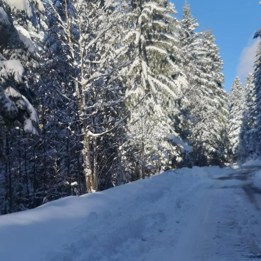 Tisina Tare Villa Bajina Basta Exteriör bild