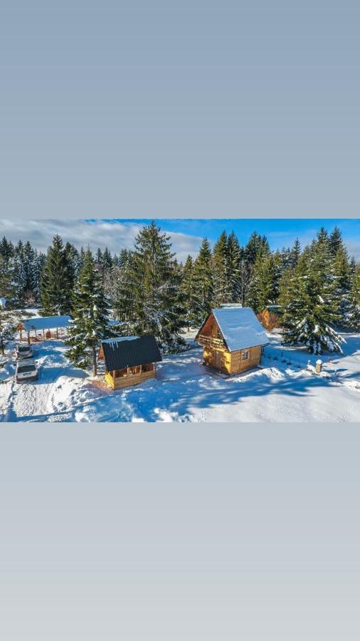 Tisina Tare Villa Bajina Basta Exteriör bild