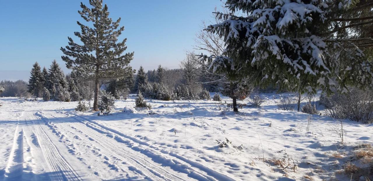 Tisina Tare Villa Bajina Basta Exteriör bild