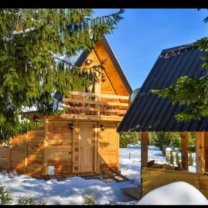Tisina Tare Villa Bajina Basta Exteriör bild