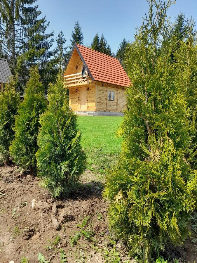 Tisina Tare Villa Bajina Basta Exteriör bild