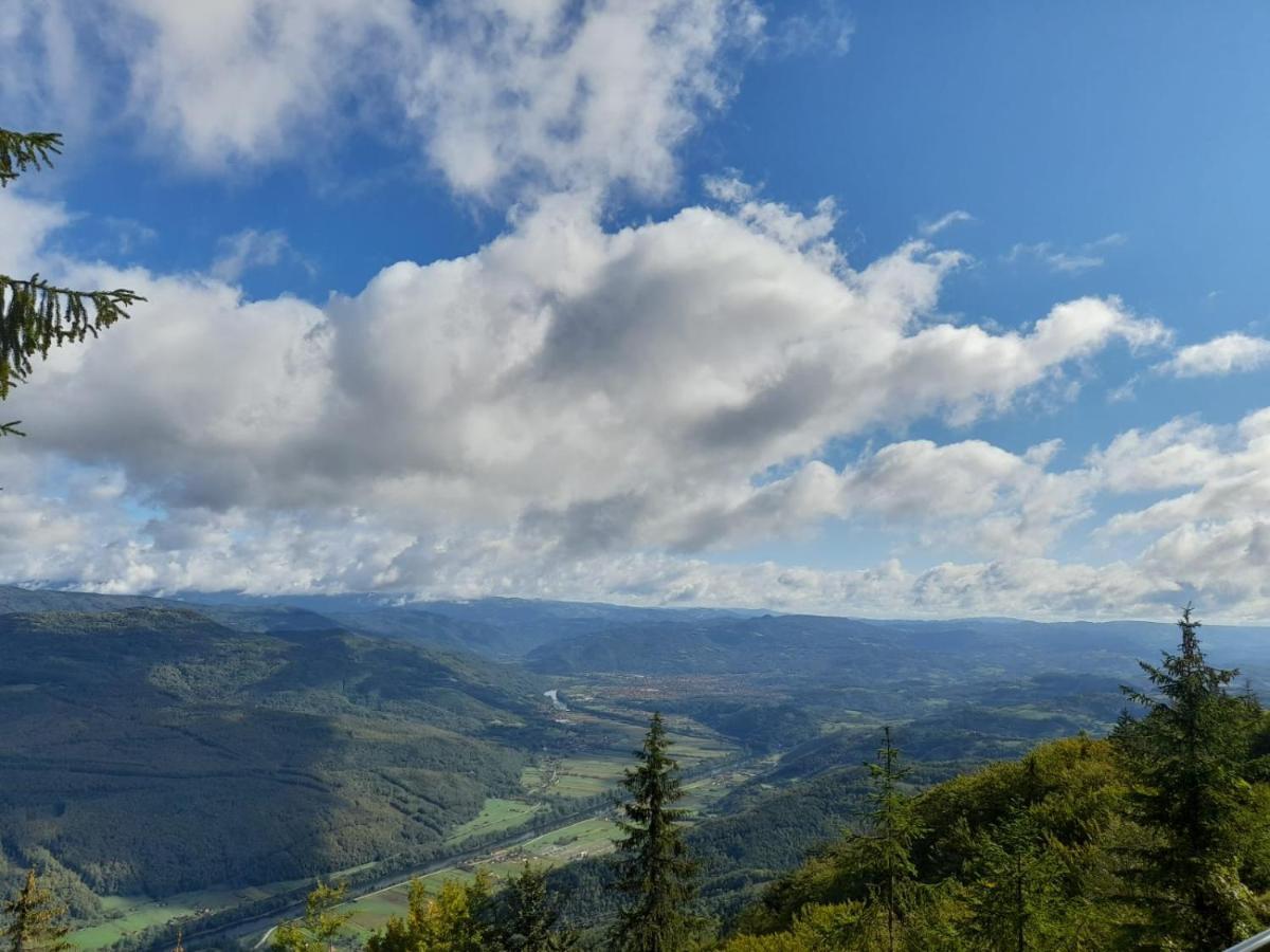 Tisina Tare Villa Bajina Basta Exteriör bild